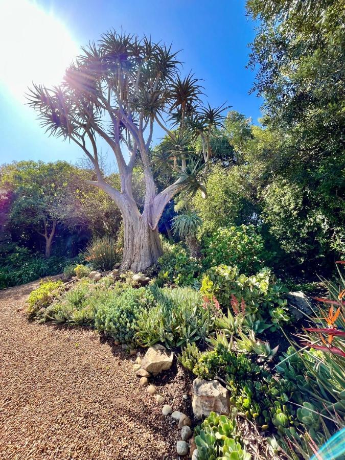 Die Heerenhuys Guest Suites Stellenbosch Dış mekan fotoğraf