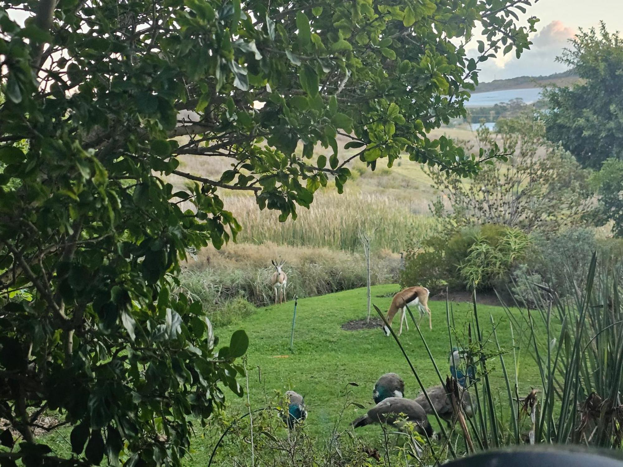Die Heerenhuys Guest Suites Stellenbosch Dış mekan fotoğraf